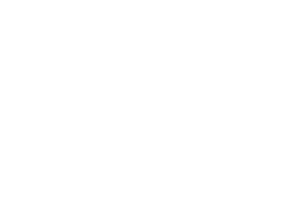Paz Global Real Estate